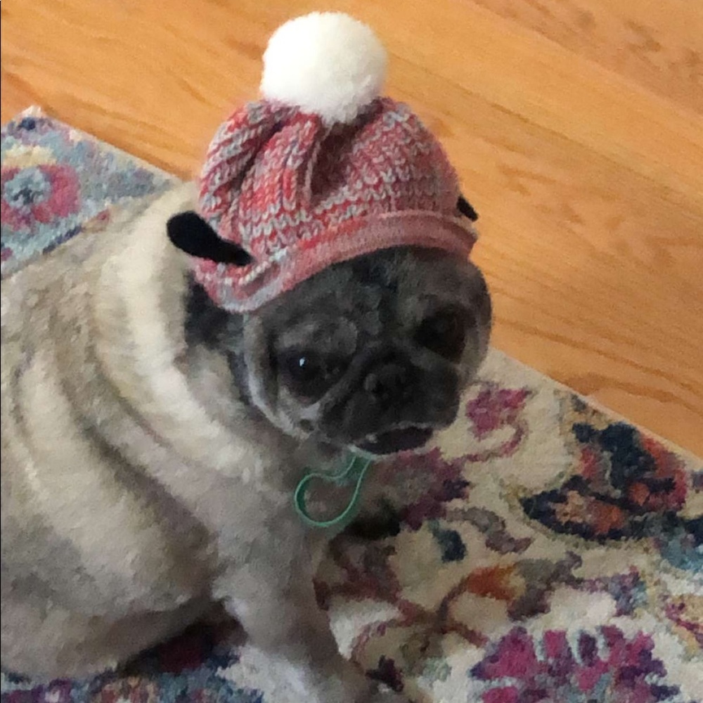 Meet your Posher, Sophia